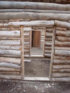 62133584-155D-451F-67789348D74A5572-large