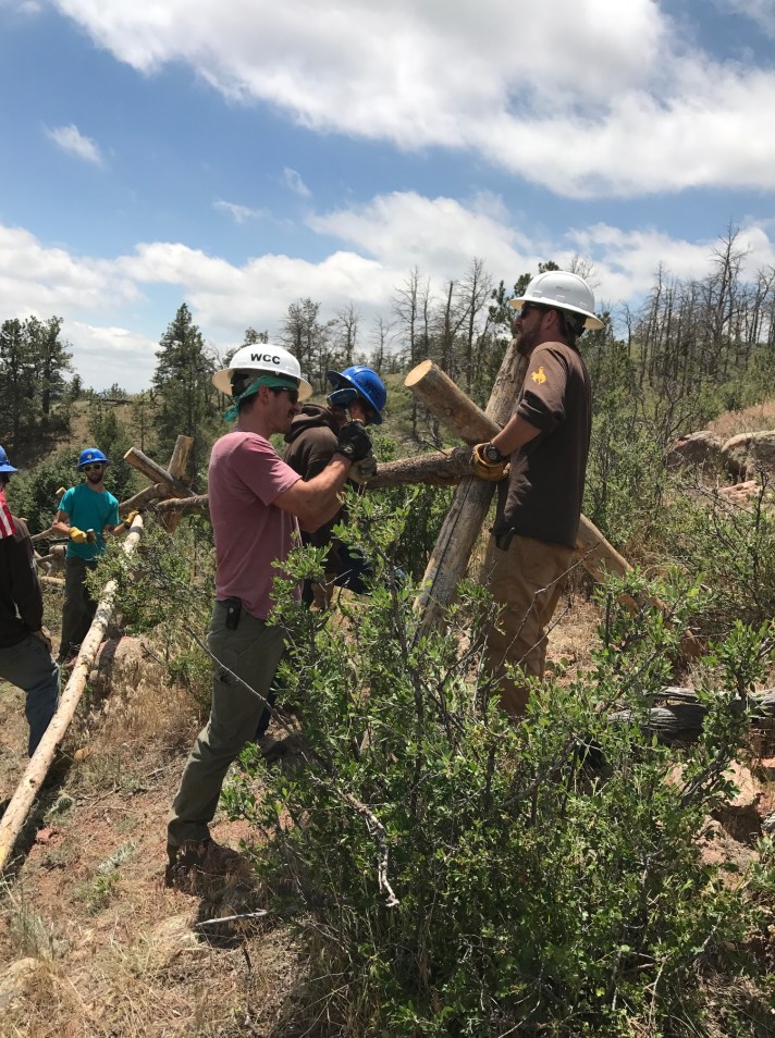 Green Buck &amp; Rail WCC 25 JUN 17