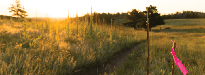 21150309_1764275476979036_8058502616784946927_n